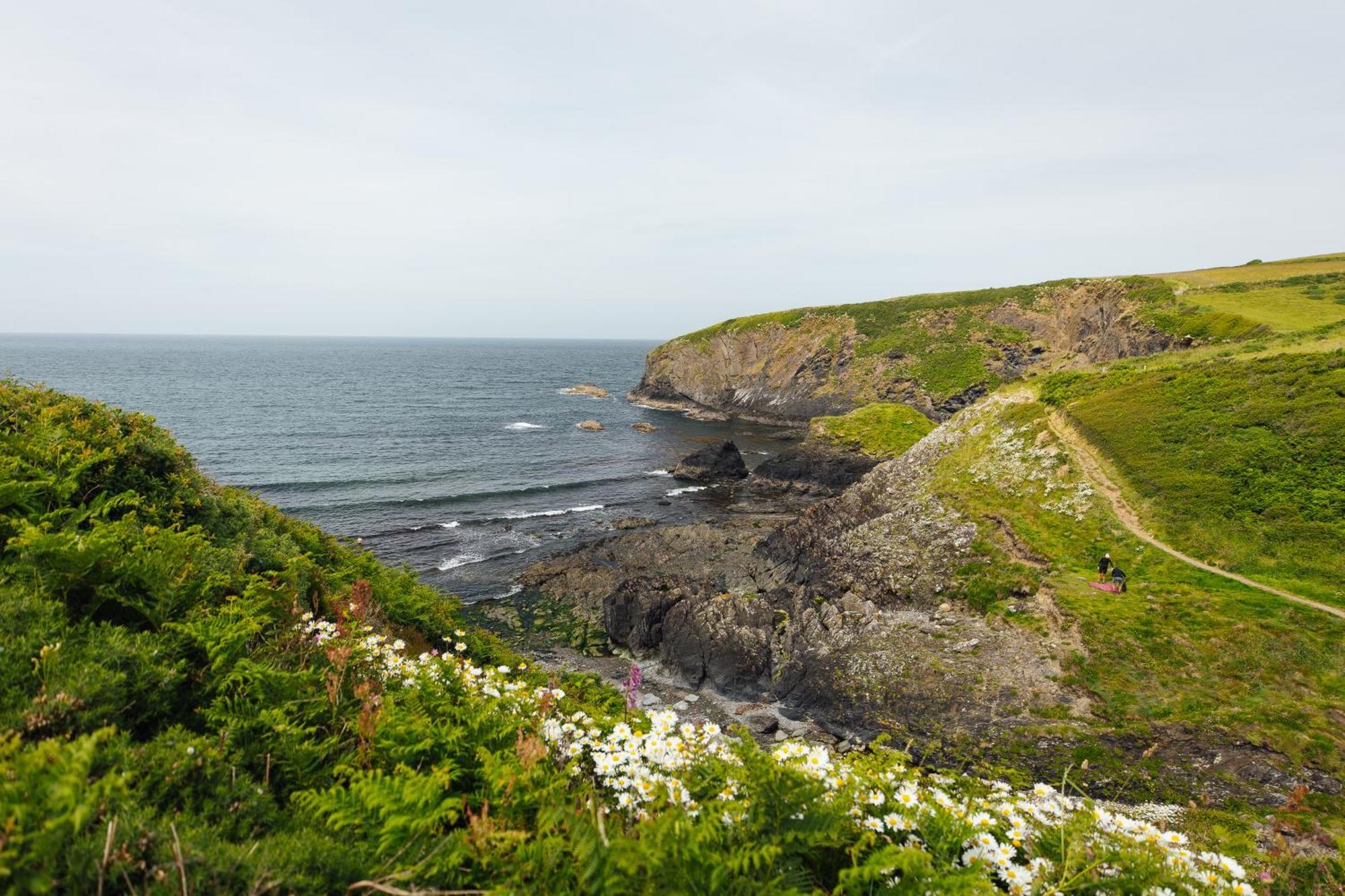 Cliff-Top Cottage On Coast Path W/Panoramic Views Trevine Ngoại thất bức ảnh